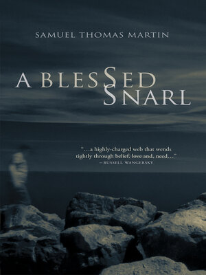 cover image of A Blessed Snarl